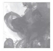 Daler Rowney FW Ink Black 29,5 ml (Indien)