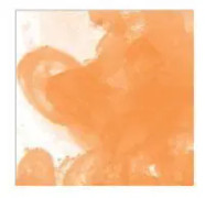 Daler Rowney FW Ink 29,5ml Orange Flame