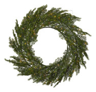 Krans Star Trading Thuja