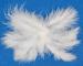 FANDY Feathers 10g