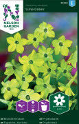 Blomstertobak 'Lime Green' frö