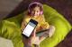 Philips Kids TAK4206PK - Hörlurar - på örat - Bluetooth - trådlös, kabelansluten - 3,5 mm kontakt - rosa