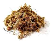 Sphagnum 1 kg - 50L