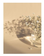 Poster white flowers 21x30 cm Beige
