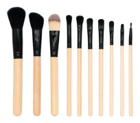 Kit med 10 träborstar FASCINATION