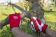 Felco 702, Polyester