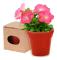 Pot with Seeds 149966 Includes