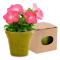 Pot with Seeds 149966 Includes