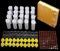 Queen bee uppfödningssystem kit plast cell bur skydd lock baslåda