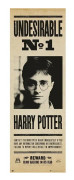 Porta Harry Potter Ineseable NÂº1 affisch