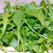 Rucola 'Coltivata' yrkesodlarfrö