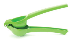 Limepress Grön Taylors