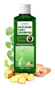 Ingefära schampo ingfära hår återväxt schampo bar hår vård produkt