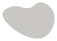 Måla Ally Brush interior silver Silvrig 3 L