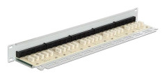 Delock - Patch-panel - CAT 3 - RJ-45 X 25 - ljusgrå, RAL 7035 - 1U - 19"