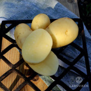 Sättpotatis - Queen Anne 1kg