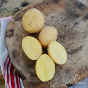 Sättpotatis - Twister 1kg