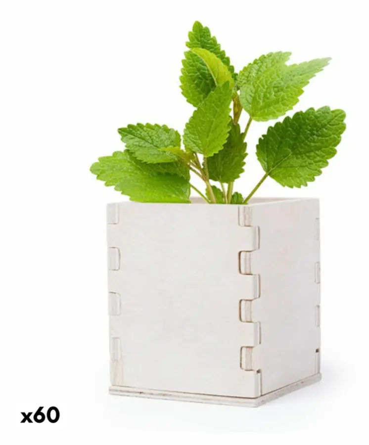 Odlingsset 146223 (60 antal) - Naturlig