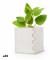 Odlingsset 146223 (60 antal) - Naturlig