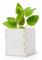 Odlingsset 146223 (60 antal) - Naturlig