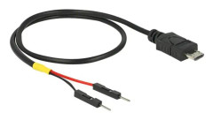 Delock - USB-/strömkabel - mikro-USB typ B (hane) till 2-stifts USB-kontakt (hane) separat - 30 cm - svart