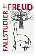 Fallstudier