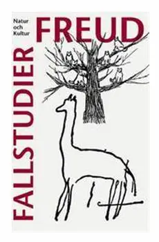 Fallstudier
