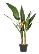 Konstgjort Strelitzia-träd Grön och Svart Syntet 115 cm Material Dekorativt inomhustillbehör