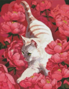 Ideyka Diamantmosaik - Katt i pioner 40x50cm