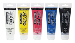 Acrylic paint Daler Rowney Multicolour 5 Pieces 120 ml