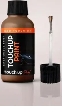 Touch Up Paint For BMW All Models Peach Metallic 388