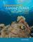 Discovering the Living Ocean