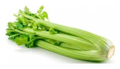 Bio Planet FÄRSK BIO-CELERY (ca 0,40 kg)