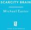 Scarcity Brain