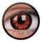 Lins Crazy Volturi 112