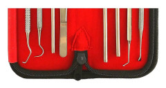 Tartar Remover Dental Care Set 8-i-1 Oral Hygiene Kit Rostfritt st?l Verktyg f?r tandreng?ring och tandv?rd