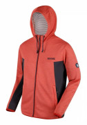 Regatta Mens Tarnis Full Zip Hooded Fleece
