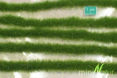 MiniNatur MiniNatur: Tuft - Ränder av sommargräs (42x15 cm)