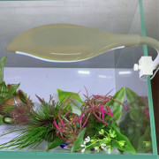 Usb Leaf Shape Light Mini sköldpadda Bowl Led med Clip White All white_usb clip light (gul)
