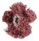 PFERD 44698252, 19100 RPM, 2,5 cm, 100 g, 20 styck