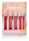Sunkissed Flawless Brush Set 5 Pieces