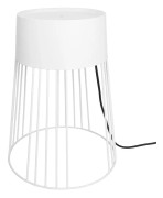 Globen Lighting 994308 floor lighting