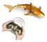 RC Shark Toy