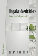 Unga lagöverträdare – E-bok