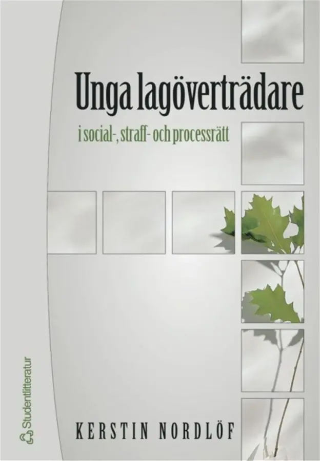 Unga lagöverträdare – E-bok