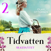 Silkesnätet: En släkthistoria – Ljudbok