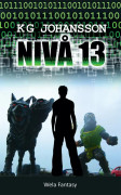 Nivå 13 – E-bok