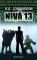 Nivå 13 – E-bok