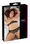 Cottelli Collection / #0