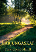 Lärjungaskap – E-bok